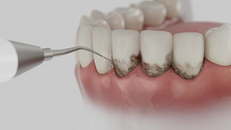 Reliable Dental contractor in Atlanta, TX by Dentist Open Now